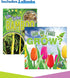 K-2 (191 In A Flash Plants Science Instructional ResourcesFlash Drive With Lessons, Labs, Observation Journal