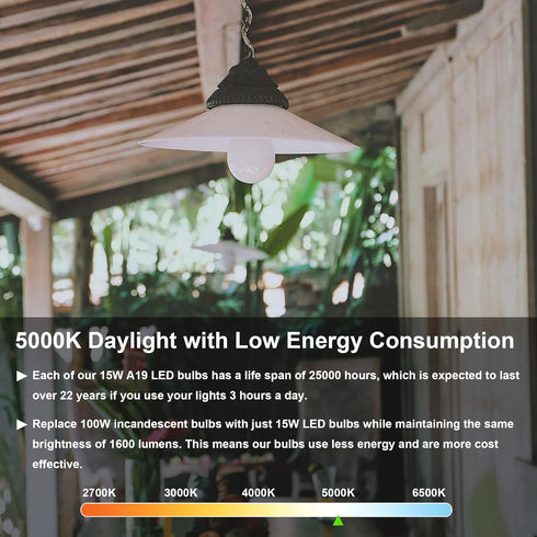 LED Light Bulbs Daylight 15W, 1600Lm 100W Equivalent, E26 Edison Screw Base, Super Bright 5000K (2 Pack)
