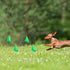 Marking 50 Pack Flags: 12 x 2.5 x 3.5 Inch Yard Flags for Lawn, Landscape, Survey, Sprinkler, and Irrigation (green)