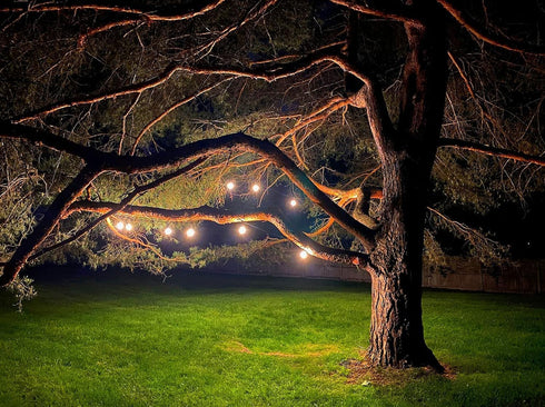 Magictec Commercial 15 48 LED Shatterproof String Lights Grade with Hanging Sockets Ft Black Outdoor Weatherproof Cord