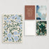 Minted Elegant Thank You Greeting Cards Pack, Set of 5, Thank You