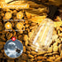 Hobbynors ST38 25FT 12+1 Bulbs, E12 Commercial 2700K Outdoor String Lights with LED Socket, Waterproof Grade, Warm