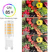 G9 Bulb 4W, 40W 3000K, 450 G9 Bulb, 120V, Non-dimmable, 6-Pack DiCUNO LED Light Halogen Replacement, Warm White Lumen