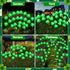 8 1 2 St. Patrick's Day Shamrock Pathway Lights, in Lucky Clover Light with Lighting Modes, Green Firefly Outdoor Decor
