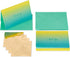 Papyrus Thank You Cards with Envelopes, Teal Ombre (16-Count)