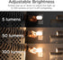 Dimmable 100 2 Pack (83776) Lights by Night Mini Bright Night Light, Plug-in, Dusk-to-Dawn Sensor, Adjustable & LED, Up