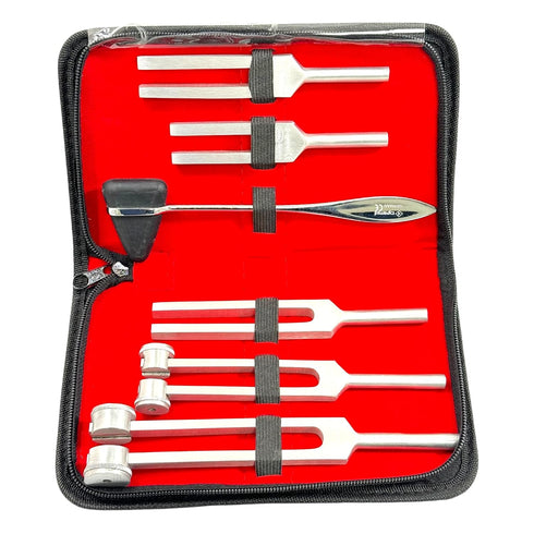 Set 5 Hammer Tuning Fork of Taylor Diagnostic Instruments CYNAMED