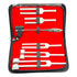 Set 5 Hammer Tuning Fork of Taylor Diagnostic Instruments CYNAMED