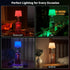 Dimming Set 2 Wireless Wine Bottle Lamp Shade Rechargeable RGB Bottle Light for Liquor Bottles with Remote Control