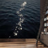 KAYOROWALLS Custom Wall Mural Wallpaper Sparkling Sea Surface Reflection Night Ocean Light Path Tranquil Water Texture