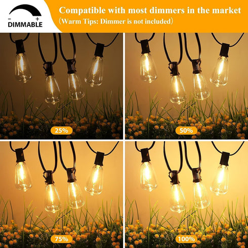 25 Pack Dimmable Edison Light Bulb Warm White 0.6 Watt G40/E12 Screw Base, ST38 LED Shatterproof Bulbs for