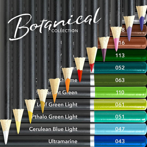 Castle Arts 24 Coloured Pencil Set in Tin Box, Perfect for Botanical Art, Quality Smooth Cores for Blending & Layering