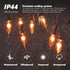 HASMX 3 120 Bulbs, Bulbs, Bulbs E26 (5-Pack) Watt Volt Incandescent Chandelier Shaped Flame Shaped Light