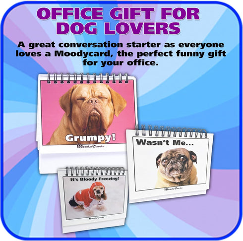 Funny Dog Desk Signs for Office | Ideal Gifts for Dog Lovers | Perfect Desk Decor & Accessories