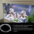 3/8" x 1/2" Clear Plastic PVC Tubing 10ft, Flexible Hybrid Vinyl Tube for Garden Irrigation, Fish Tank