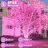 100FT 300 8 LED Outdoor String Lights, Connectable Pink Christmas Lights Indoor Waterproof with Modes, Plug in Twinkle