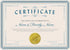 Hybsk 300pcs Notary Seals 2 inch Embossing Stickers, Gold Metallic Certificate Sealing Labels for Awards