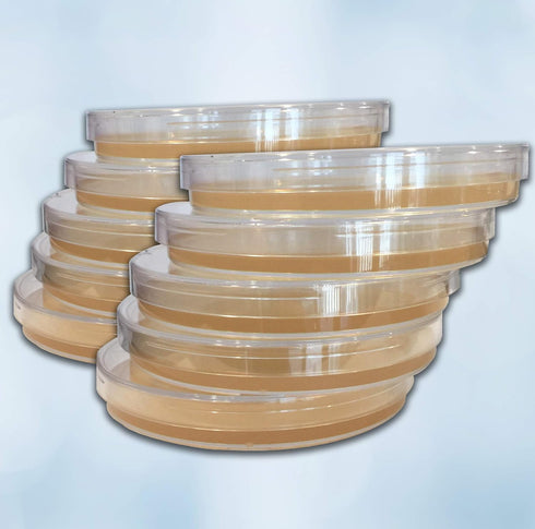 LB (LB) Agar Plates - Evviva Sciences - Prepoured Luria-Bertani Agar Petri Dishes - General Purpose Media - Top Science