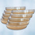 LB (LB) Agar Plates - Evviva Sciences - Prepoured Luria-Bertani Agar Petri Dishes - General Purpose Media - Top Science