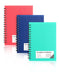 FLYING EAGLE Premium 4x6 Small Spiral Notebook, 3 Pack A6 Mini Journal, Plastic Hardcover, 468 Pages