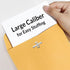 SUNEE 6x9 Clasp Envelopes 100 Count - 6x9 Inch Brown Kraft Envelopes with Clasp Closure for Home, Office, Business,