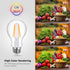 Lepro Vintage LED Bulbs, Dimmable Filament Bulb, 8W 800LM, 60W Equivalent, Classic Clear Glass, 2700K Warm White, A19