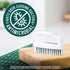 Scotch-Brite Small Utility Brush, Long Lasting Dish Brush with Handle for Scrubbing Cookware, Hands, Tile, Grout