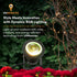 12Vmonster IP68 12V 10W (Pack 2) Color Changing RGB LED Outdoor Spot Light Waterproof Garden Lighting Multicolor