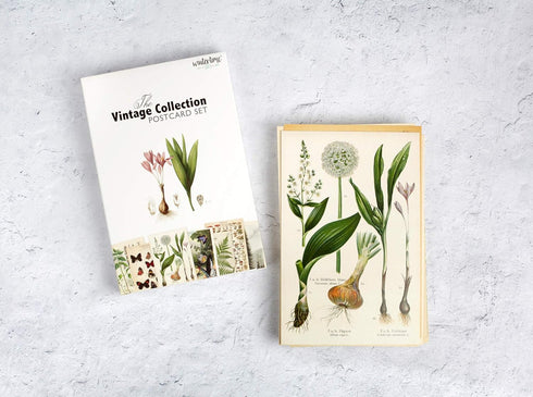 Vintage Collection Postcard Set: 30 Pack of Retro Style Botanical, Nature and Ephemera Postcards