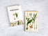 Vintage Collection Postcard Set: 30 Pack of Retro Style Botanical, Nature and Ephemera Postcards