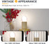 Dimmable Bulbs- E26 4000K 25W A15/A50 Bulb- 2W 4 Pack Frosted LED Ceiling Fan Light Base Neutral White Equivalent Small