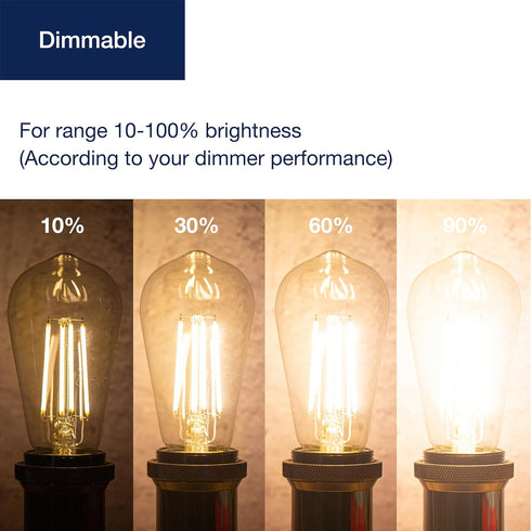 FLSNT 40W Equivalent Dimmable Vintage LED Edison Bulbs, 4W ST19 Amber Glass, 2200K Warm White, 400LM, E26 Base, 6 Pack