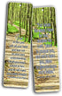 Most Highlighted Bible Scriptures Bookmarks Cards, NIV Version (12-Pack) - Inspirational Gifts for Bible Study