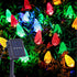 Leisure world 2 Pack 50 Led C6 Solar Outdoor Christmas Decorations, 8