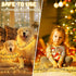 FFZZKJ 100LED 33Ft 8 16.4Ft*2 2-Pack Christmas Lights Outdoor Battery Operated String Lights Total with Timer Modes