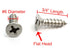 Bolt Dropper No. 6 x 3/4" Stainless Steel Flat Head Phillips Wood Screw (100 pc) - 18-8 (304) Stainless Steel