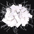 Shappy 300 Pcs White Price Display Tags, 0.8 x 1.58 Inches, Marking Labels with Elastic String