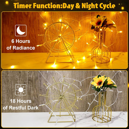 cshare 9.8ft 30 String Lights Outdoor Waterproof LED, Warm White Fairy Lights Battery Operated with Timer Clear Wire