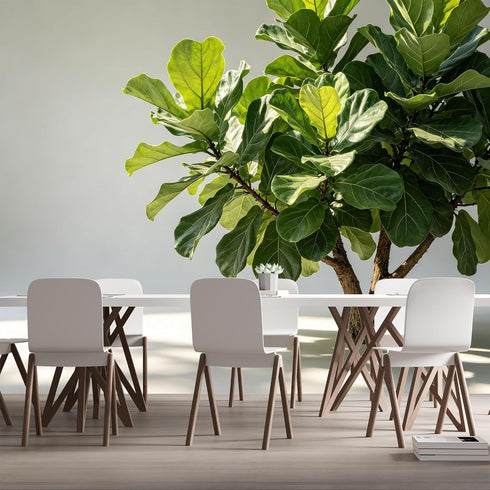 Agglomerix Custom Size Wall Murals Fiddle Leaf Fig Tree Botanical Minimalist Green Leaves SelfAdhesive Wall Fabric