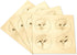 Papyrus Thank You Cards with Envelopes, World Icons, 14-Count