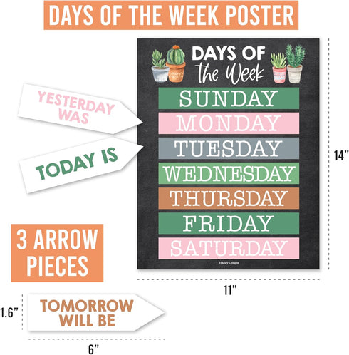 Hadley Designs Cactus Classroom Calendar Set, Bulletin Board for Classroom Decorations