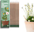 Sprout Wood-Cased Pencils | Spread the Love Edition | 8 Pack of HB Pre-Sharpened Graphite Plantable Pencils