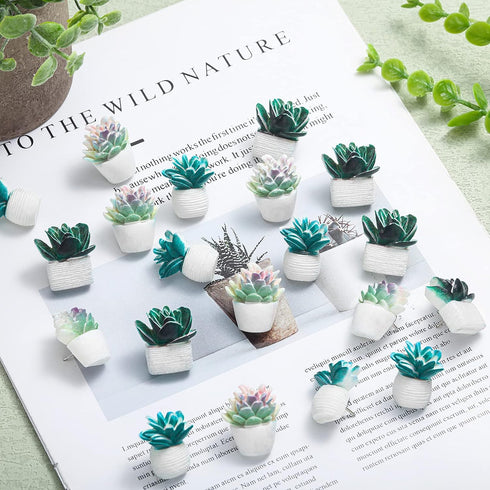 Cute Decorative Push Pins Set, 20 Pcs Succulent Push Pins for Cork Board, Fun Office Supplies for Classroom and Wall