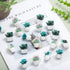 Cute Decorative Push Pins Set, 20 Pcs Succulent Push Pins for Cork Board, Fun Office Supplies for Classroom and Wall