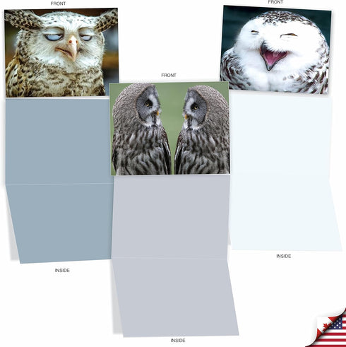 The Best Card Company 10 Bird Note Cards Blank (4 x 5.12 Inch) with Envelopes, Boxed Set