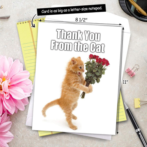 NobleWorks Jumbo Thank You Greeting Card - Cat Design, 8.5 x 11 Inch with Envelope (1 Pack)