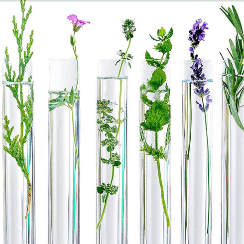 Test Tubes, 15Pcs 3ml Plastic Tube with Lids, Clear Plastic Test Tubes for Plants, Propagation Tubes
