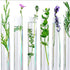 Test Tubes, 15Pcs 3ml Plastic Tube with Lids, Clear Plastic Test Tubes for Plants, Propagation Tubes