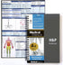 H&P Notebook (Large Print), Medical History and Physical, 50 Medical Templates with Perforations