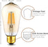 Hudson Vintage LED Edison Light Bulbs, 6W, 2200K Dimmable Warm Light, 60W Equivalent, E26/27 Base, 6 Pack